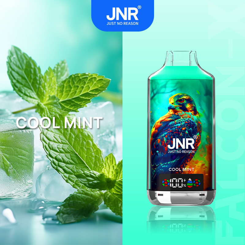 Cool mint flavored vape device with a colorful falcon illustration on the packaging, accompanied by fresh mint leaves and ice cubes.