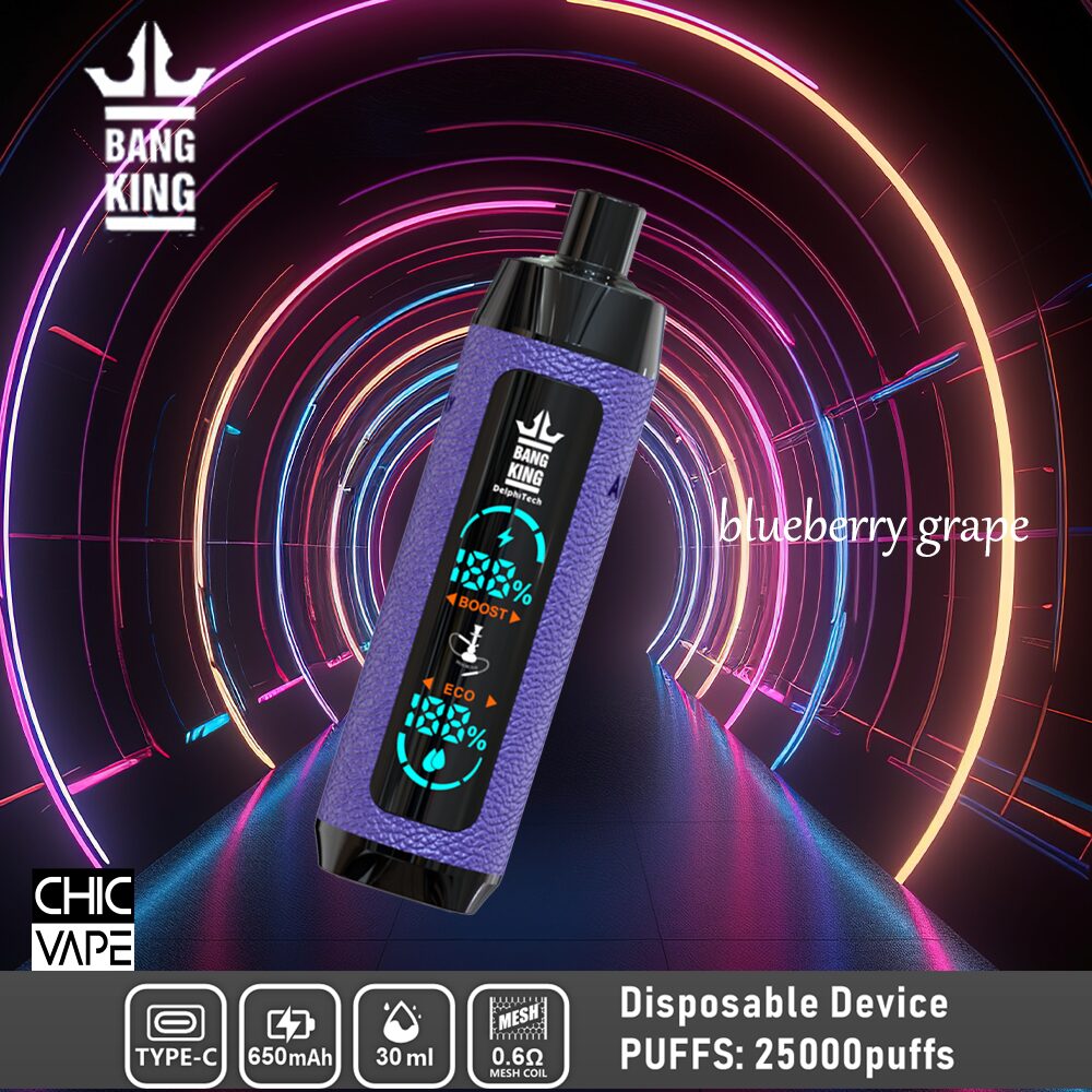 A disposable vape device labeled "Bang King" in blueberry grape flavor, featuring a digital screen, 650mAh battery, 30ml e-liquid capacity, and 25,000 puffs, with a futuristic neon tunnel background.