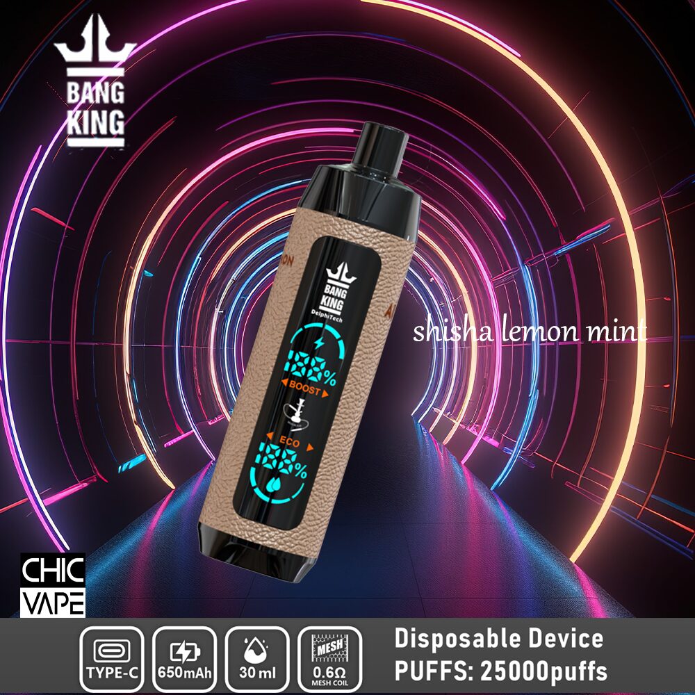A disposable vape device with a leather-textured body, digital display, and branding "Bang King," offering 25,000 puffs, shisha lemon mint flavor, and various features like Type-C charging, 650mAh battery, and 30ml capacity.
