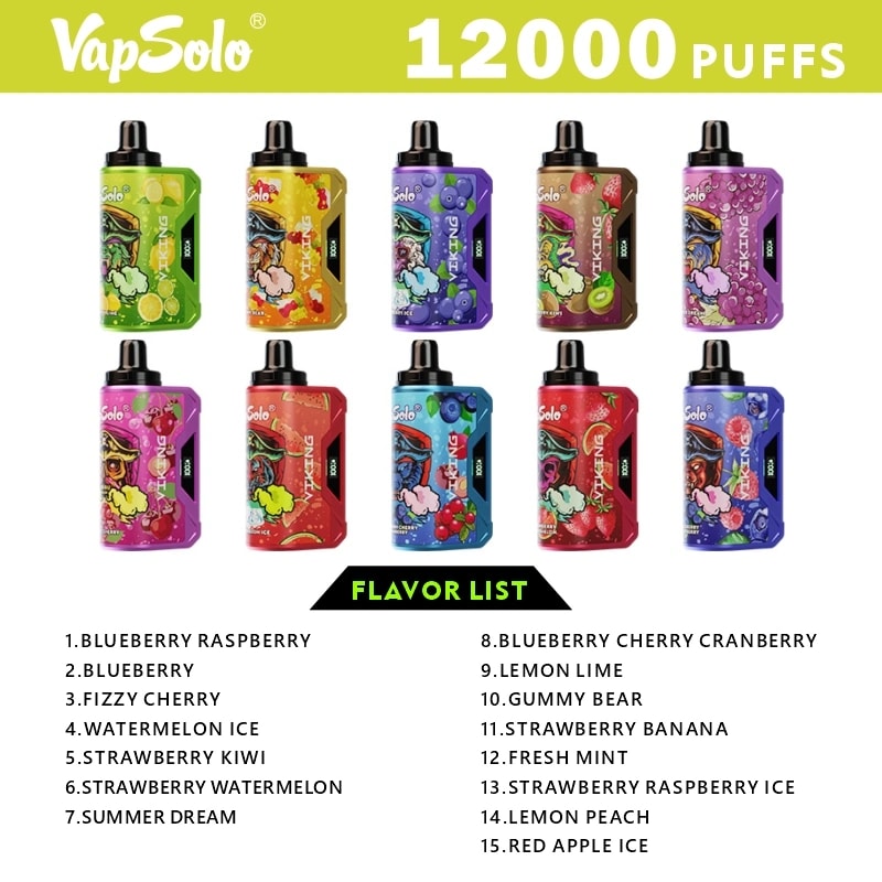 VapSolo Viking 12000 Puffs 2% 5% Vape Original E-Cigarette