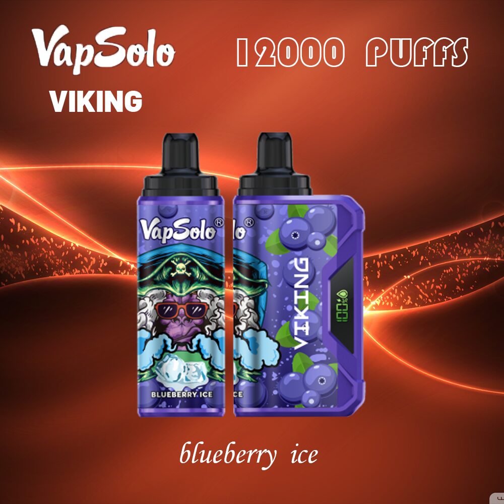 VapSolo Viking 12000 Puffs 2% 5% Vape Original E-Cigarette
