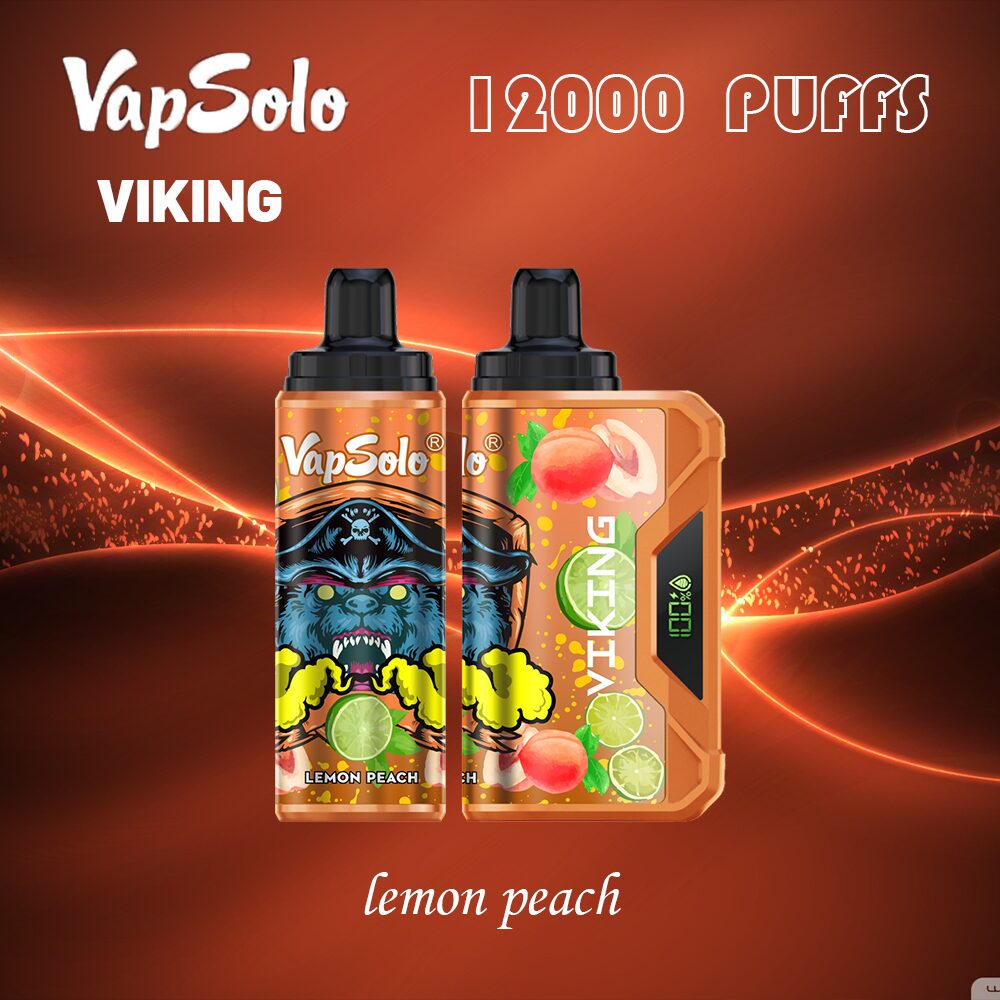 VapSolo Viking 12000 Puffs 2% 5% Vape Original E-Cigarette