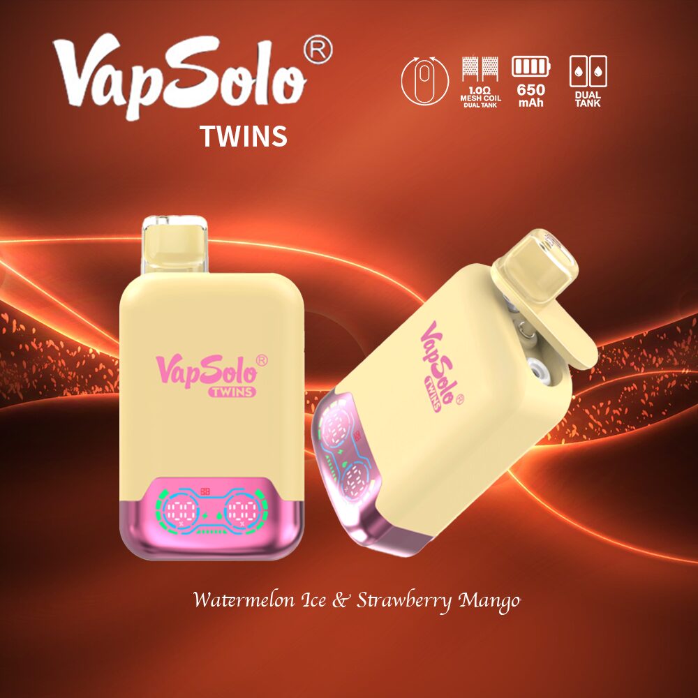 vape double gout Fabricants de vapes à double goût VapSolo Twins 20000 Puffs personnalisés  en Chine, usine - Prix de gros