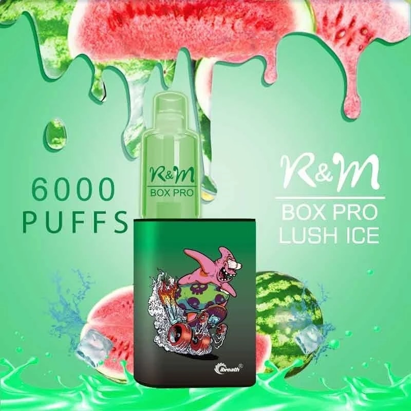 R&M Box Pro disposable vape with "6000 puffs," Lush Ice flavor, featuring a green design with cartoon artwork and watermelon imagery in the background.