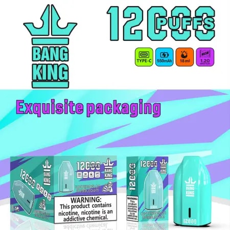 Appareil de vapotage jetable Bang King avec 12 000 bouffées, chargement de type C, batterie de 550 mAh, capacité de 18 ml et bobine en maille de 1,2 Ω, avec saveur « Watermelon Bubblegum » et avertissement concernant la dépendance à la nicotine.