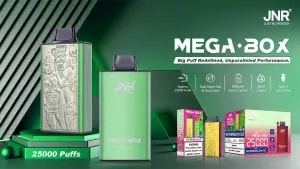 A green "MEGA BOX" vape device with 25,000 puffs capacity, dual mesh coil, 850mAh battery, 30ml e-liquid, and Type-C quick charge, with packaging and features displayed.