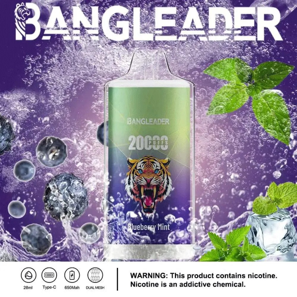 Bangleader disposable vape with blueberry mint flavor, featuring a tiger logo, 2000 puffs, and a 28ml capacity.