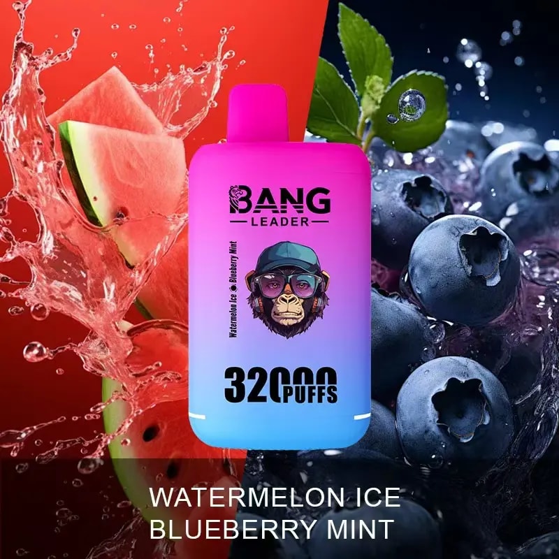 bang leader 32000 Concentrazioni di nicotina: 0%, 2%, 3%, 5% Numero di tiri: fino a 32000 tiri Capacità dell'e-liquid: due pod (28 ml + 28 ml) Doppia bobina a maglie Capacità della batteria: batteria ricaricabile da 650 mAh Aromi: 12 aromi unici Porta di ricarica: ricarica rapida di tipo C Confezione: 10 pezzi per scatola
