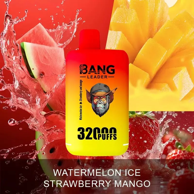 bang leader 32000 Concentrazioni di nicotina: 0%, 2%, 3%, 5% Numero di tiri: fino a 32000 tiri Capacità dell'e-liquid: due pod (28 ml + 28 ml) Doppia bobina a maglie Capacità della batteria: batteria ricaricabile da 650 mAh Aromi: 12 aromi unici Porta di ricarica: ricarica rapida di tipo C Confezione: 10 pezzi per scatola