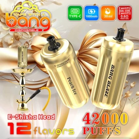 Bang Blaze 42000 42K Puffs Vape E-Shisha Head Original E-Cigarette-Nicotine Puffs: 0%, 2%, 3%, 5% Capacidad masiva de bocanadas: 42000 bocanadas Capacidad de e-líquido: 30 ml Tecnología de bobina de malla dual: bobina de malla dual de 0,6 Ω Batería recargable: batería de 1000 mAh Carga rápida tipo C 12 sabores Embalaje: 10 piezas por caja