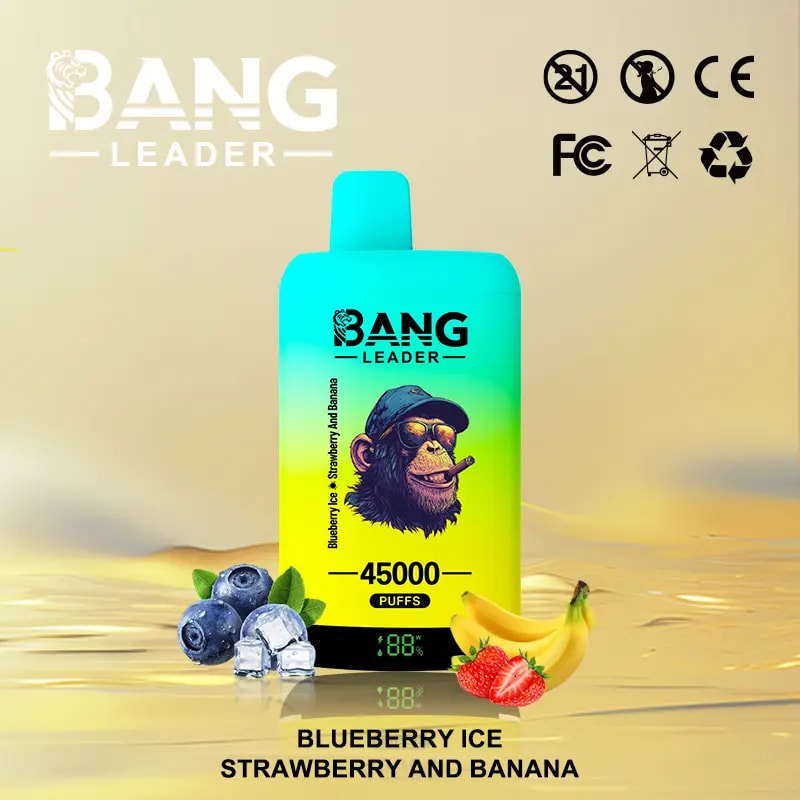 Bang Leader 45Kは、デュアルフレーバーシステム、デュアルメッシュコイル、650mAh充電式バッテリー、LEDディスプレイ、12のフレーバーオプションを備えた最大45,000パフを提供しています。