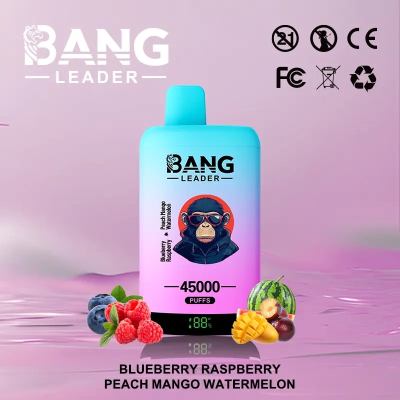 Bang Leader 45Kは、デュアルフレーバーシステム、デュアルメッシュコイル、650mAh充電式バッテリー、LEDディスプレイ、12のフレーバーオプションを備えた最大45,000パフを提供しています。