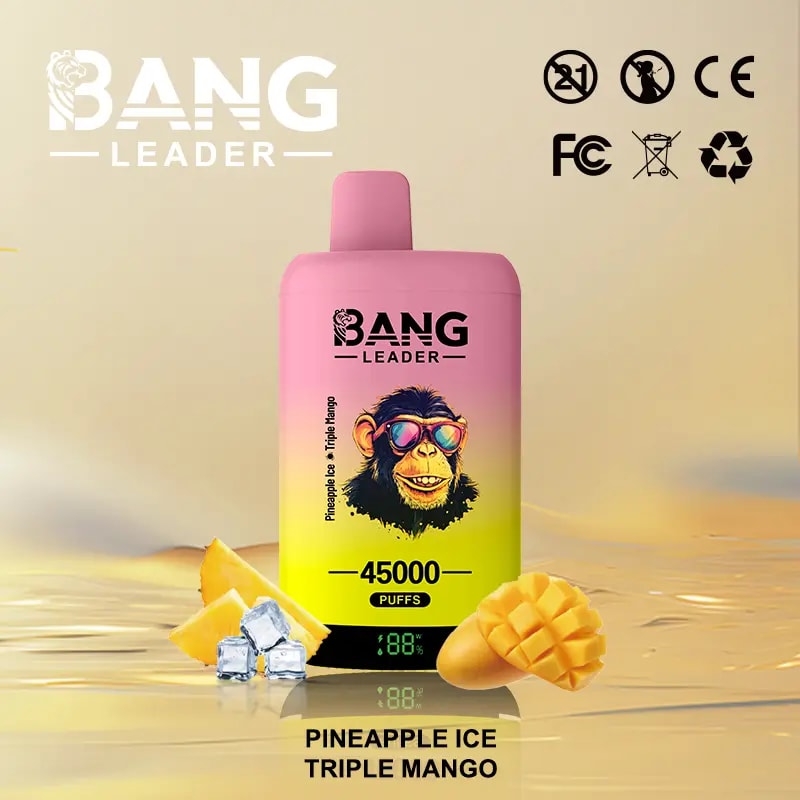 Bang Leader 45Kは、デュアルフレーバーシステム、デュアルメッシュコイル、650mAh充電式バッテリー、LEDディスプレイ、12のフレーバーオプションを備えた最大45,000パフを提供しています。