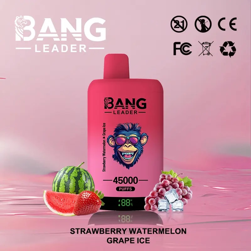 Bang Leader 45Kは、デュアルフレーバーシステム、デュアルメッシュコイル、650mAh充電式バッテリー、LEDディスプレイ、12のフレーバーオプションを備えた最大45,000パフを提供しています。