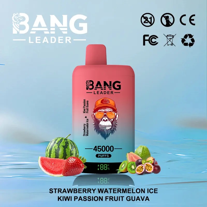 Bang Leader 45Kは、デュアルフレーバーシステム、デュアルメッシュコイル、650mAh充電式バッテリー、LEDディスプレイ、12のフレーバーオプションを備えた最大45,000パフを提供しています。
