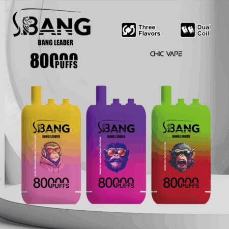 Bang Leader 80K Puffs Vape bietet drei umschaltbare Geschmacksrichtungen, bis zu 80.000 Züge, eine Dual-Mesh-Spule, Typ-C-Laden und 12 Geschmacksoptionen – perfekt für lang anhaltende, geschmackvolle Vaping-Sessions.