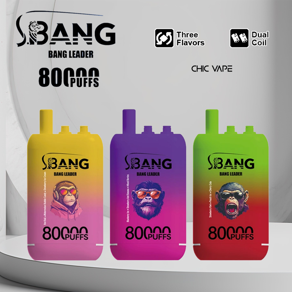 Bang Leader 80K Puffs Vape erbjuder tre omkopplingsbara smaker, upp till 80 000 puffs, dubbel mesh-spole, typ-C-laddning och 12 smakalternativ – perfekt för långvariga, smakrika vapingsessioner.