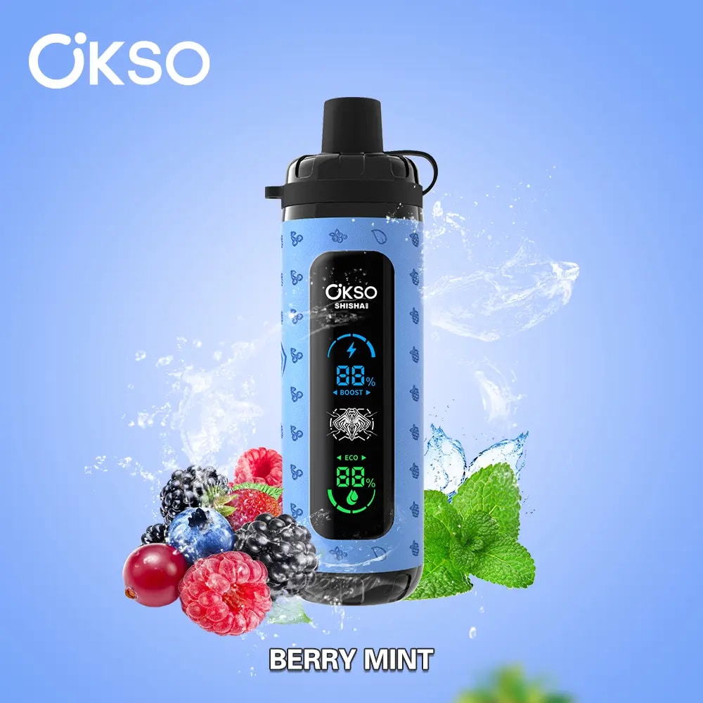 Der OKSO Shisha Max 40K Puffs Disposable Vape bietet 40.000 Züge, 36 ml E-Liquid, Mesh-Coil, LED-Display, Typ-C-Ladefunktion, einstellbare Luftzufuhr, Leistungsregelung und 10 Geschmacksrichtungen in einem kindersicheren Design.