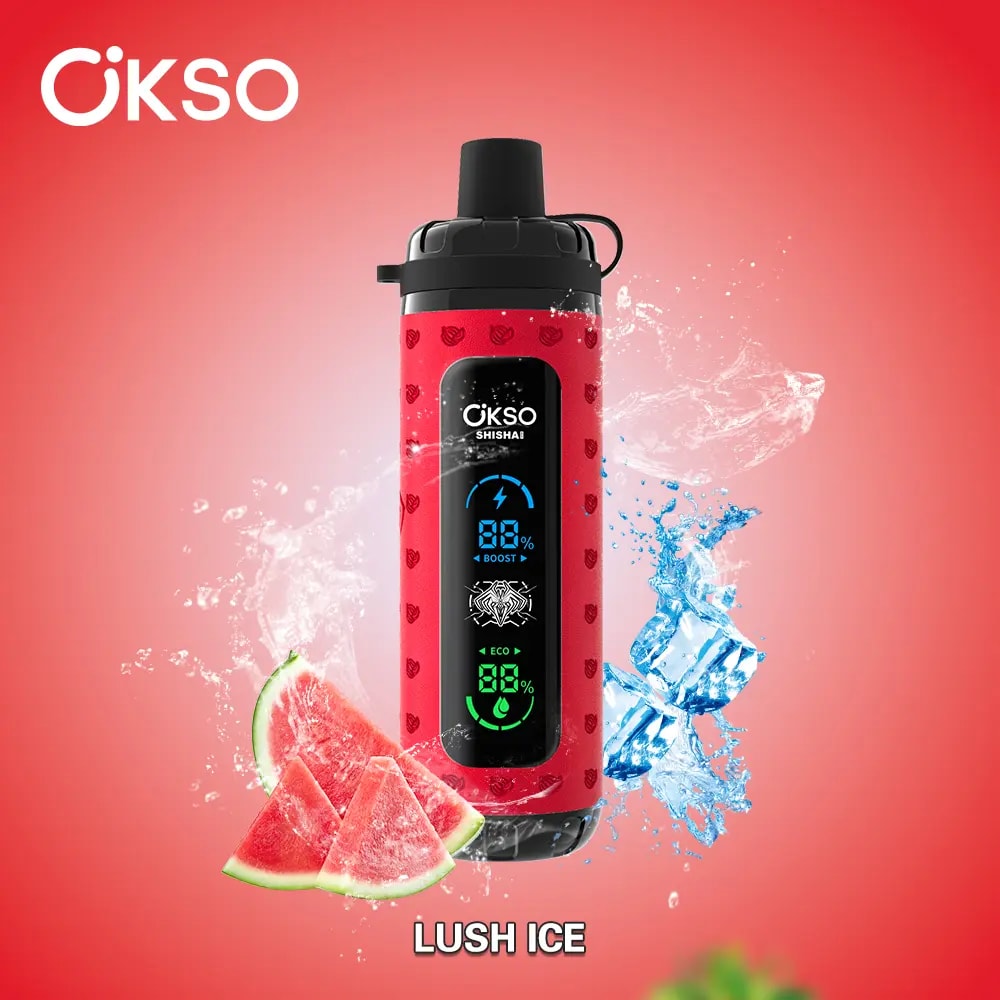 Der OKSO Shisha Max 40K Puffs Disposable Vape bietet 40.000 Züge, 36 ml E-Liquid, Mesh-Coil, LED-Display, Typ-C-Ladefunktion, einstellbare Luftzufuhr, Leistungsregelung und 10 Geschmacksrichtungen in einem kindersicheren Design.