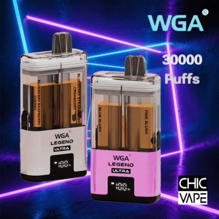 WGA Legend 30K | 30,000 Puffs Dual Flavor 2 in 1