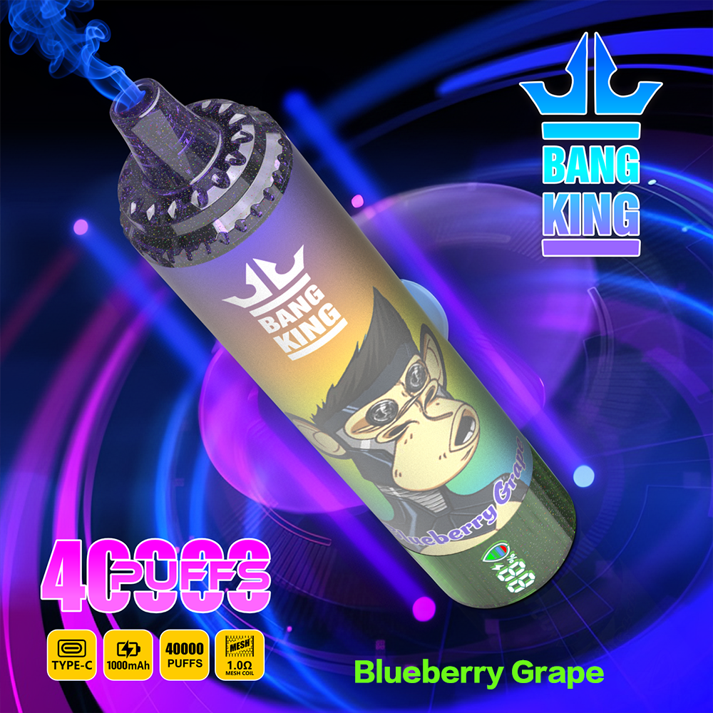 Bang King 40K Disposable Vape – 40,000 Puffs, Mesh Coil, 1000mAh Type-C & Power Display - Image 13
