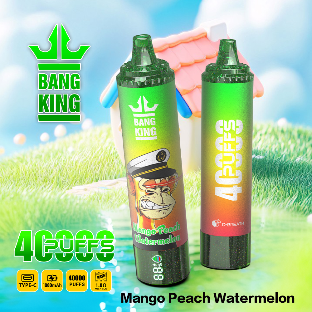 Bang King 40K Disposable Vape – 40,000 Puffs, Mesh Coil, 1000mAh Type-C & Power Display - Image 9