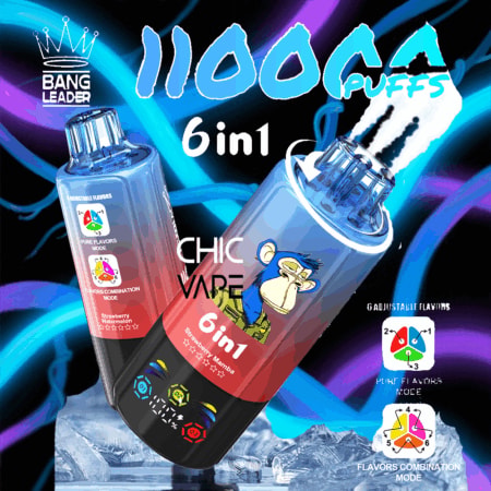 Due dispositivi usa e getta da 6 in 1 chic, uno blu e uno nero con un logo di scimmie cartoni animati, ambientati su uno sfondo blu e viola neon con 1000 sbuffi in grassetto e marchio della corona di Bang Leader.