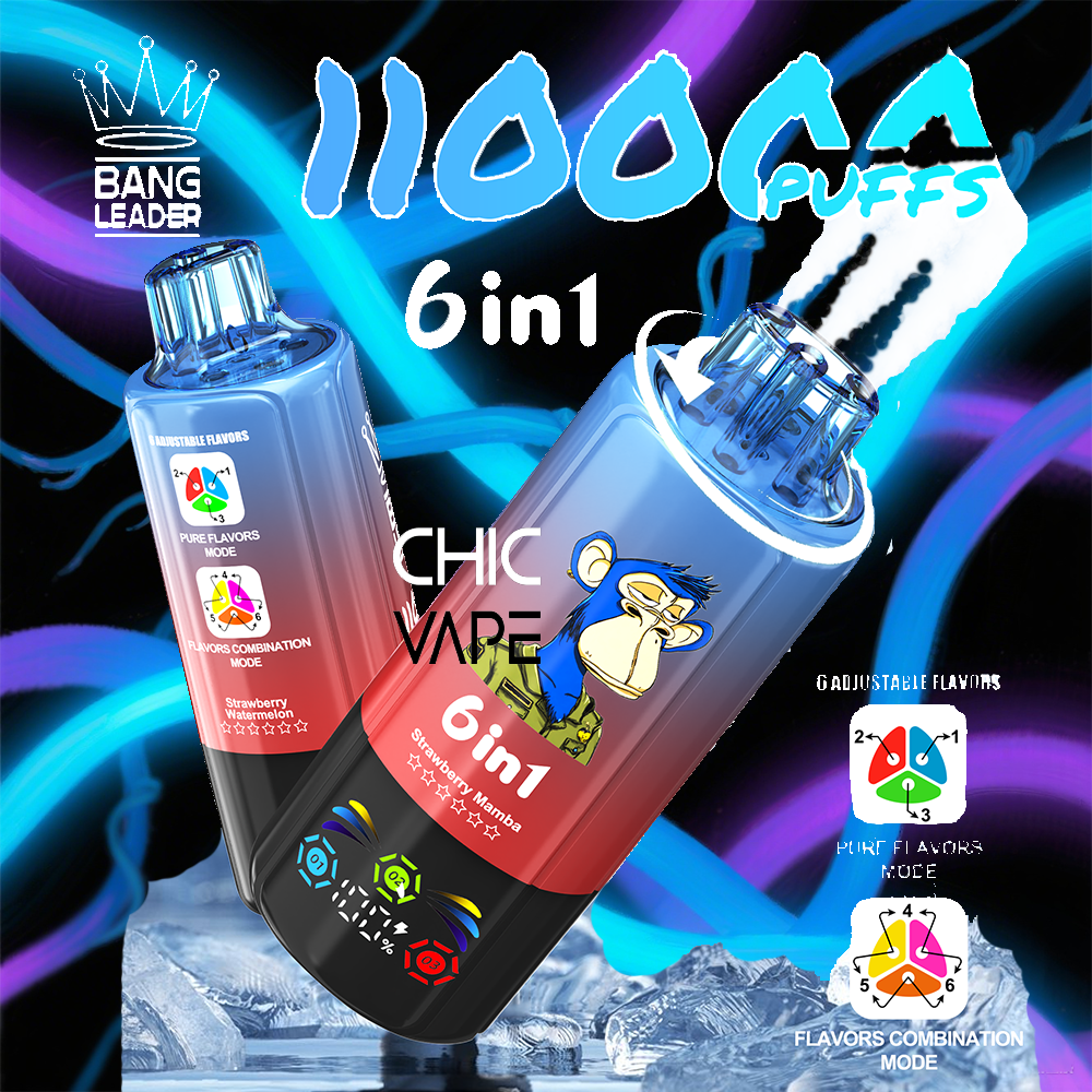 Two 6-in-1 Chic Vape disposable devices, one blue and one black with a cartoon monkey logo, set against a neon blue and purple background with bold 1000 Puffs and Bang Leader crown branding.