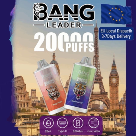 Bang Leader 20K - 20000パフ、デュアルメッシュコイル、Type-C急速充電
