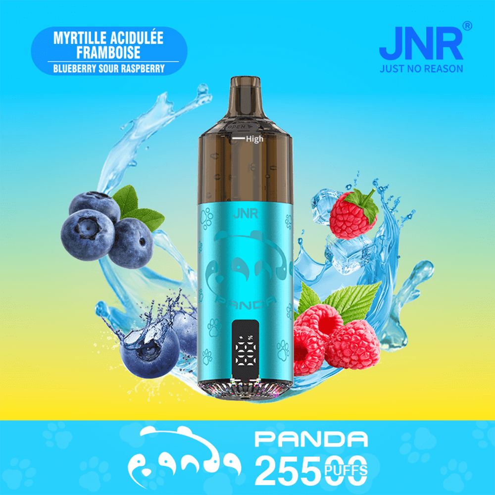 Turquoise JNR Panda vape device with brown mouthpiece centered on a blue-to-yellow gradient background, surrounded by blueberries on the left and raspberries on the right with splash effects, flavor label at the top left and a ‘Panda 2550 puffs’ banner at the bottom.