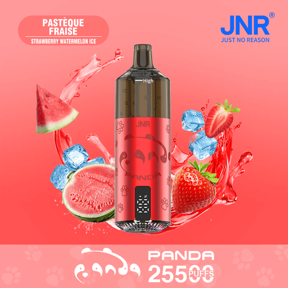 A red JNR Panda disposable vape with a dark mouthpiece sits against a pink gradient background, surrounded by watermelon and strawberry slices and ice, with the JNR logo in the top-right corner and "Panda 255 puffs" text at the bottom.