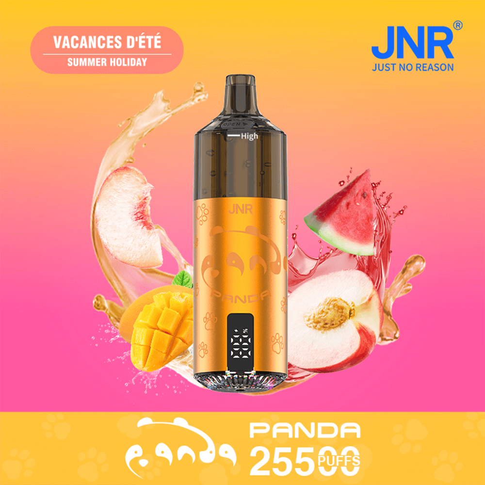 Gold and black Panda vape pod centered on a bright orange-to-pink gradient, surrounded by splashes of peach, mango, and watermelon, with the blue JNR logo in the top-right and a yellow bottom banner reading PANDA 255 PUFFS.