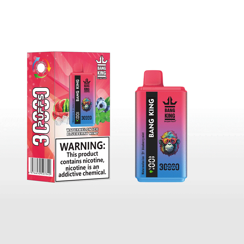 Bang King Watermelon Ice Blueberry Mint vape juice bottle with a pink-to-blue gradient sits beside its red packaging box featuring fruit images, the Bang King logo, and a prominent nicotine warning label.
