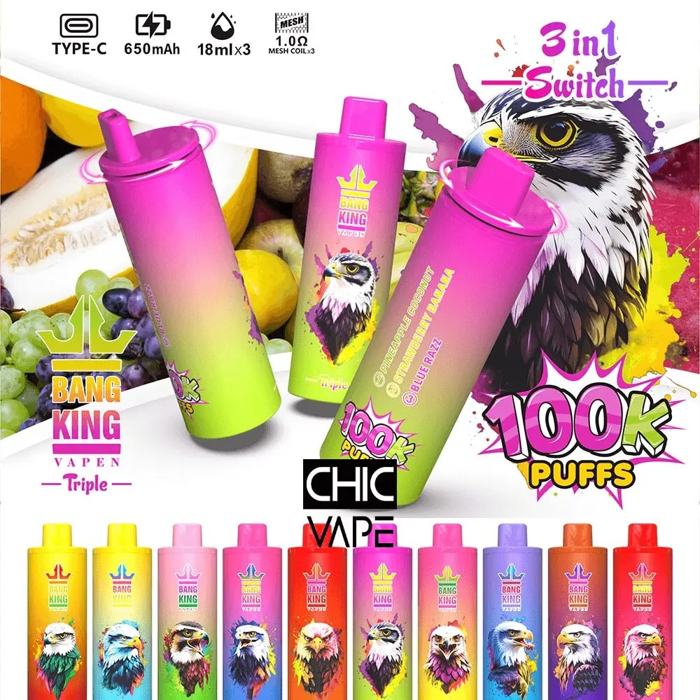 A lineup of colorful Bang King disposable vape pens with gradient pink-to-green bodies and bird illustrations, displayed against a fruit-filled background with bold '100K Puffs' text.