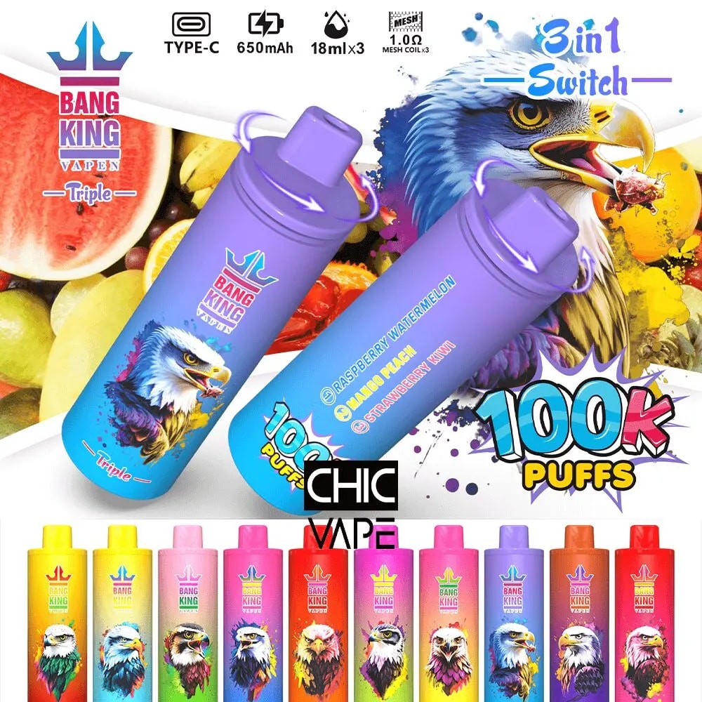 Bright Bang King Vapen CHIC VAPE advertisement featuring two purple puff-style vape devices with bird-art graphics, the 100K Puffs label, and a row of small colorful vape bottles with animal portraits, set against a fruit-filled background.