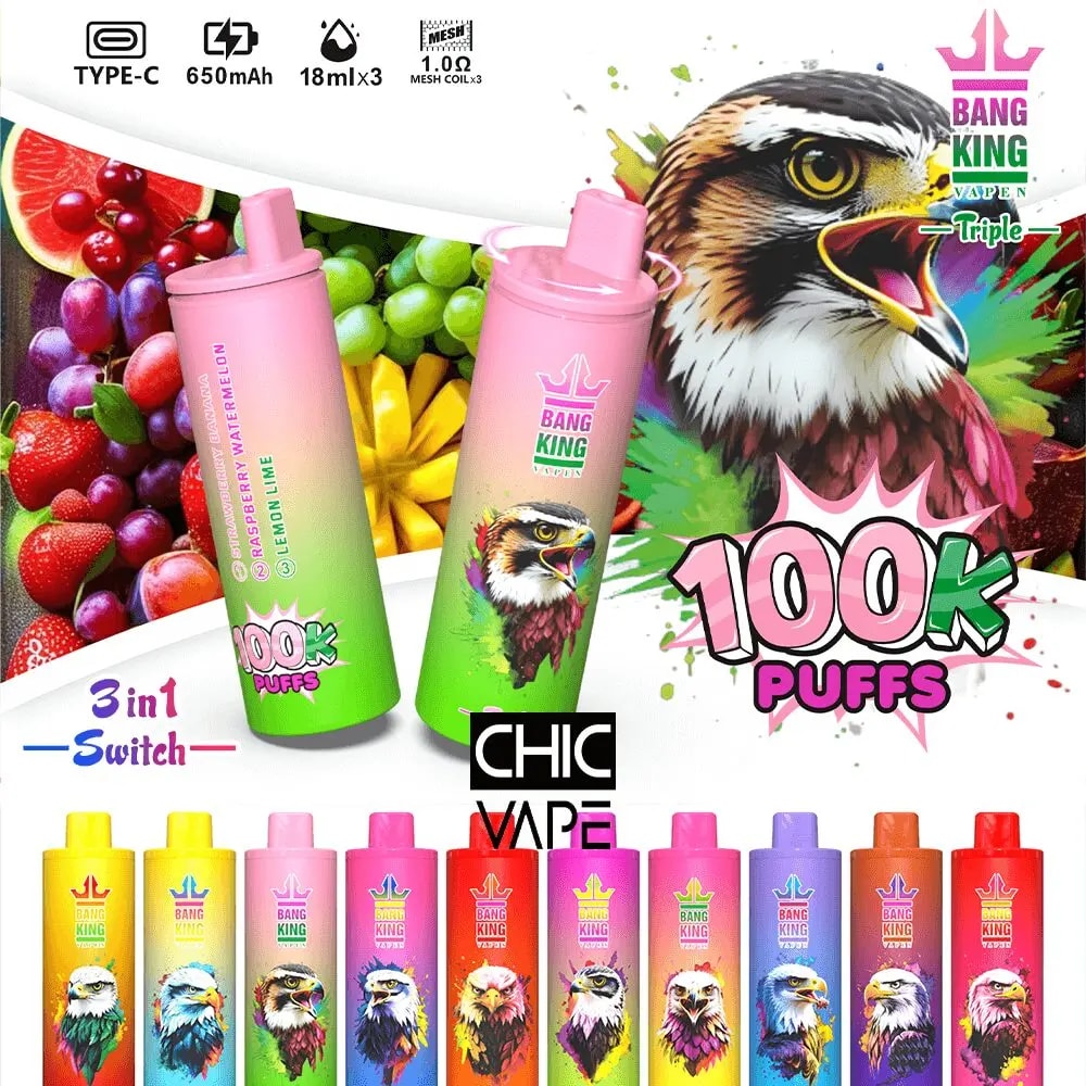 Colorful Bang King vape advertisement featuring pink and green disposable devices with an eagle emblem, a row of multicolored bottles, and a bold 100K PUFFS graphic against a fruit-filled background.
