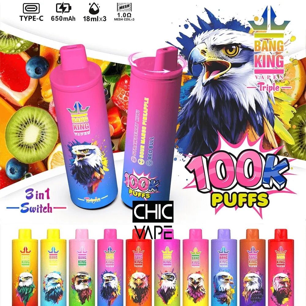 Bright Bang King Vape promo featuring two pink disposable vape devices with a stylized eagle logo, the bold '100K PUFFS' graphic, and a row of colorful bottles with animal illustrations against a fruit-themed background.