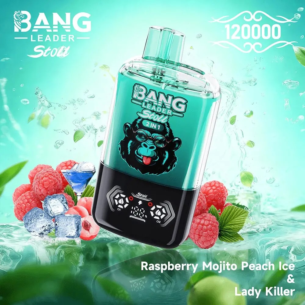 A turquoise and black electric blender with a digital display leans diagonally, branded BANG LEADER, surrounded by raspberries, ice cubes, and mint leaves, with the flavor text Raspberry Mojito Peach Ice & Lady Killer.