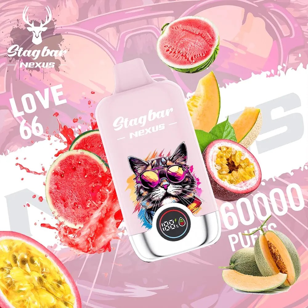 Mixeur portable Stagbar Nexus rose avec un chat coloré portant des lunettes de soleil sur le devant, entouré de tranches de pastèque, de cantaloup et de fruit de la passion.