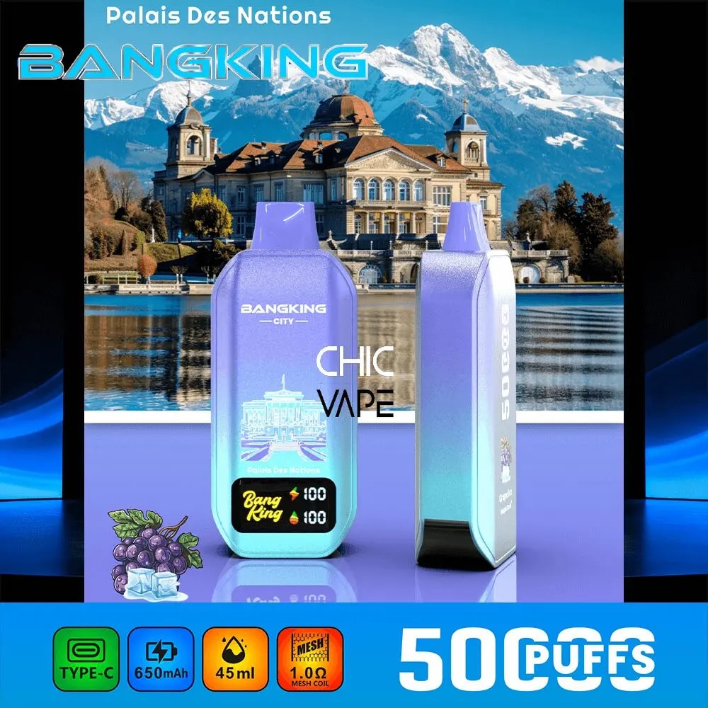 Two purple gradient BangKing Chic Vape devices displayed in front of a palace with snow-capped mountains in the background.