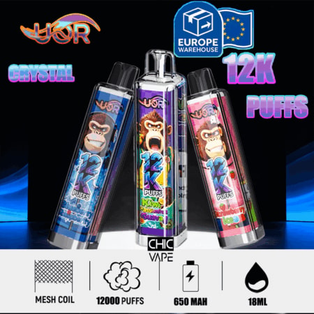 CHIC VAPE 12K Puffs disposable with 3 flavors Blueberry Raspberry, Kiwi Passion Guava, Strawberry Ice; 650 mAh, 18 ml