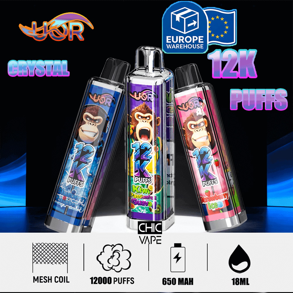 CHIC VAPE 12K Puffs disposable with 3 flavors Blueberry Raspberry, Kiwi Passion Guava, Strawberry Ice; 650 mAh, 18 ml