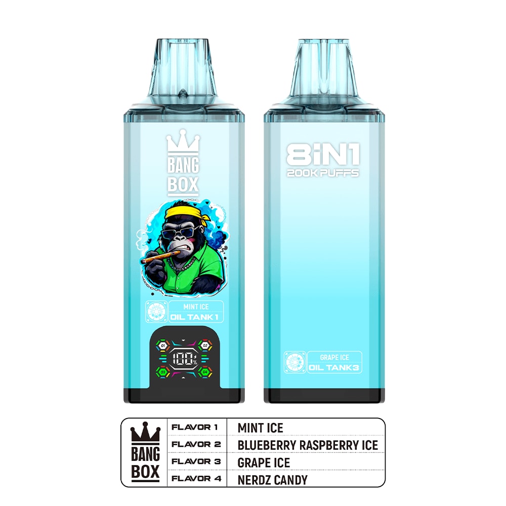 Two blue vape pods side by side; left shows Bang Box Mint Ice, right shows 8iNT 200K Puffs.