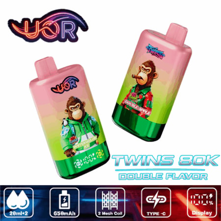 Zwei Einweg-Vape-Flaschen mit rosa-grünem Farbverlauf, Cartoon-Affe und "Twins 80K Double Flavor"-Branding.