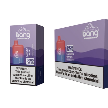Bang BC5000 Box 5000 Züge Vape original E-Zigarette