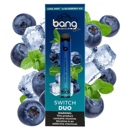 Blueberry Ice e Cool Mint Bang sono confezioni monouso per vape con mirtilli, foglie di menta, cubetti di ghiaccio e un'etichetta di avvertimento sulla nicotina.