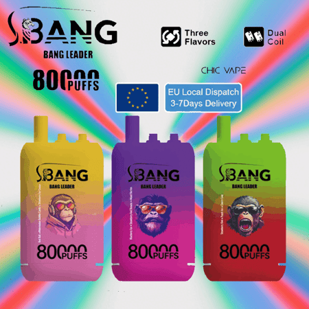 Drei Bang Leader-Vape-Pod-Beutel in den Farbverläufen Gelb zu Rosa, Lila und Grün zu Rot liegen auf einem Regenbogenhintergrund;. Jeder Beutel zeigt das Bang-Logo und '80.000 PUFFS' mit einem verschwommenen Porträt auf dem Etikett. Darüber hinaus befinden sich Logos für Three Flavors und Dual Coil sowie ein blaues EU-Local-Dispatch-Banner in der Nähe.