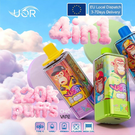 Två färgglada vape-enheter med apa-tema med tecknade konstverk lutar diagonalt mot en pastellhimmelbakgrund, den ena med en gul keps och den andra med en grön kropp, omgiven av fluffig rosa text och etiketten Chic Vape, med små ikoner längst ner som indikerar Type-C-laddning, 64 ml, 650 mAh, fyra smaker och mesh-spiraler.