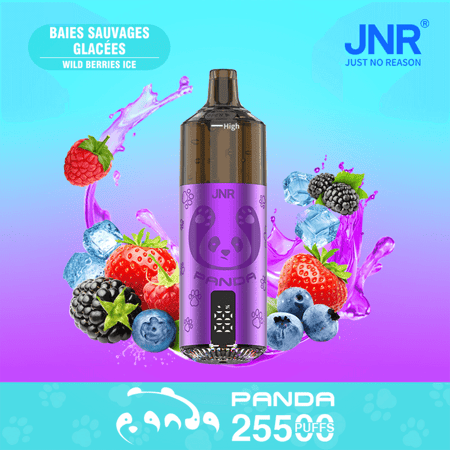 Un dispositivo de vapeo desechable JNR Panda de color morado en el centro, con la marca del panda con una etiqueta de '255 inhalaciones', rodeado de fresas, arándanos, frambuesas y moras sobre un fondo degradado de azul a morado.