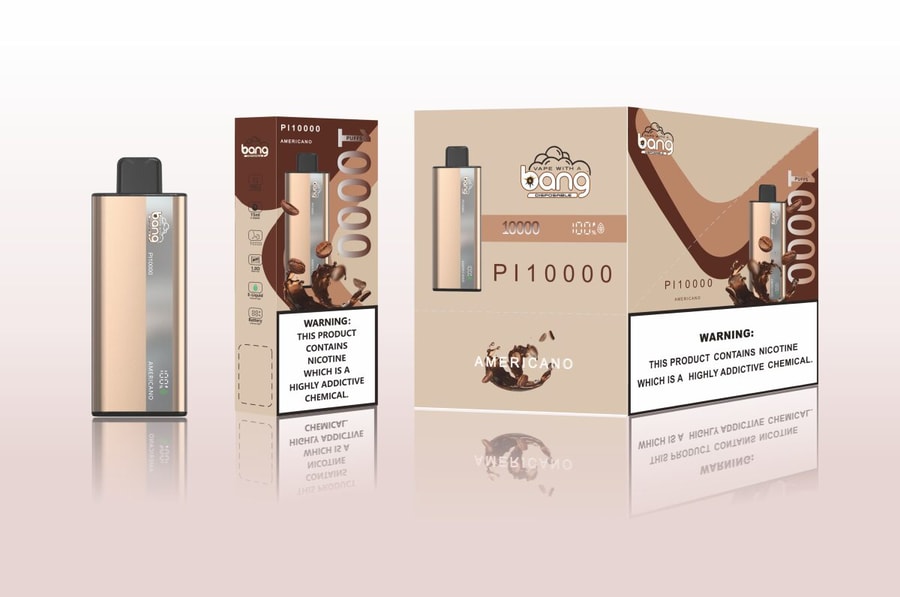 Bang PI10000 Puffs Vape original E-Zigarette